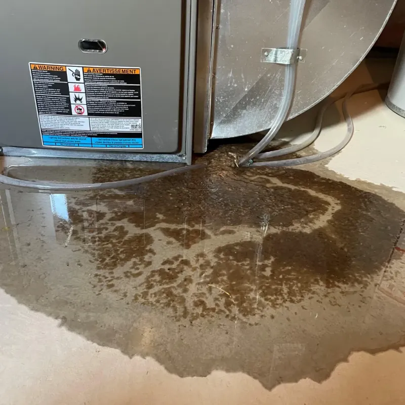 Appliance Leak Cleanup in Mocksville, NC